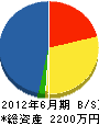 山崎設備工業 貸借対照表 2012年6月期