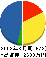 日岐目電気工業 貸借対照表 2009年6月期