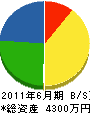鈴木建材 貸借対照表 2011年6月期