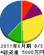 安田電工社 貸借対照表 2011年6月期