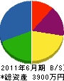丸恵電業 貸借対照表 2011年6月期