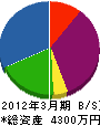 翔永建設 貸借対照表 2012年3月期
