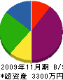 渡辺機械 貸借対照表 2009年11月期