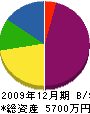 藤倉塗工店 貸借対照表 2009年12月期