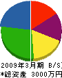 大善寺開発工業 貸借対照表 2009年3月期