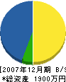 松本工務店 貸借対照表 2007年12月期
