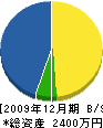 勝亦工業所 貸借対照表 2009年12月期