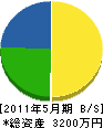 手川工務店 貸借対照表 2011年5月期