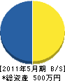＊田商事 貸借対照表 2011年5月期