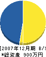 西田建材 貸借対照表 2007年12月期