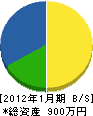 田中工務店 貸借対照表 2012年1月期