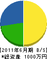 志誠 貸借対照表 2011年6月期