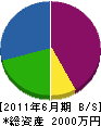宮本綜合開発 貸借対照表 2011年6月期