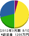 アキヒサ電機 貸借対照表 2012年3月期