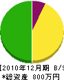 賀川建設 貸借対照表 2010年12月期