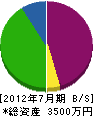 菅谷緑建 貸借対照表 2012年7月期