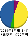 （名）佐藤電気商会 貸借対照表 2010年3月期