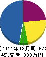 紫垣設備 貸借対照表 2011年12月期