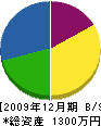桝井建築 貸借対照表 2009年12月期