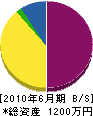 入澤工務店 貸借対照表 2010年6月期