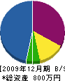 丸清商事 貸借対照表 2009年12月期