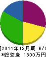 片谷電器商会 貸借対照表 2011年12月期