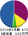 橋本造園土木 貸借対照表 2010年9月期