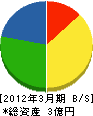 ヤマキ山下工業 貸借対照表 2012年3月期