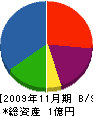 葉山工務店 貸借対照表 2009年11月期