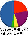 庄磁工業 貸借対照表 2010年9月期