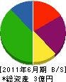 沖縄電興 貸借対照表 2011年6月期