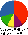 村尾組 貸借対照表 2012年6月期