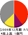新栄土建 損益計算書 2009年12月期