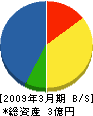 大昭電気工業 貸借対照表 2009年3月期