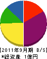 池田住建 貸借対照表 2011年9月期