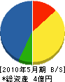 壱岐土木工業 貸借対照表 2010年5月期