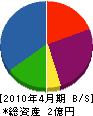 大澤工務店 貸借対照表 2010年4月期