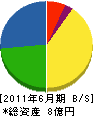 藤岡組 貸借対照表 2011年6月期