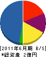 鷲尾組 貸借対照表 2011年6月期