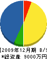 国沢組 貸借対照表 2009年12月期