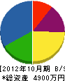藤川建設 貸借対照表 2012年10月期