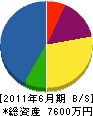 大竹工業 貸借対照表 2011年6月期