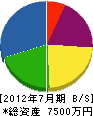 松田電業社 貸借対照表 2012年7月期