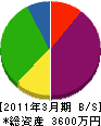 村井組 貸借対照表 2011年3月期