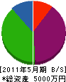 齋藤組 貸借対照表 2011年5月期