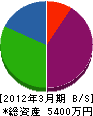 福山テント装飾 貸借対照表 2012年3月期