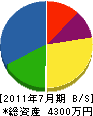 諫山産業 貸借対照表 2011年7月期