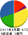 安謝橋電機 貸借対照表 2011年4月期