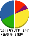 福岡芝浦電子 貸借対照表 2011年6月期