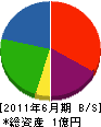 田田組 貸借対照表 2011年6月期